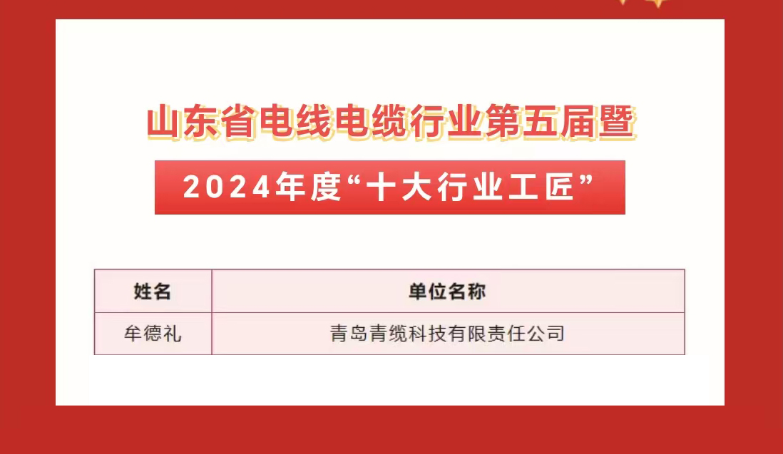 青纜職工獲（huò）評2024年度“十大傑出青年”及“十大行業工匠”