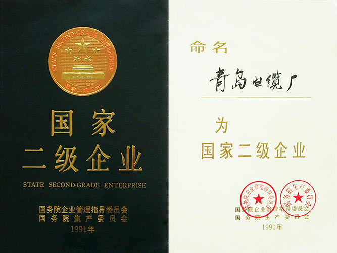 國家二級（jí）企業（yè）證書