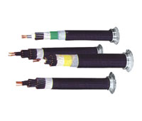額定電壓450/750V及以下控製電纜