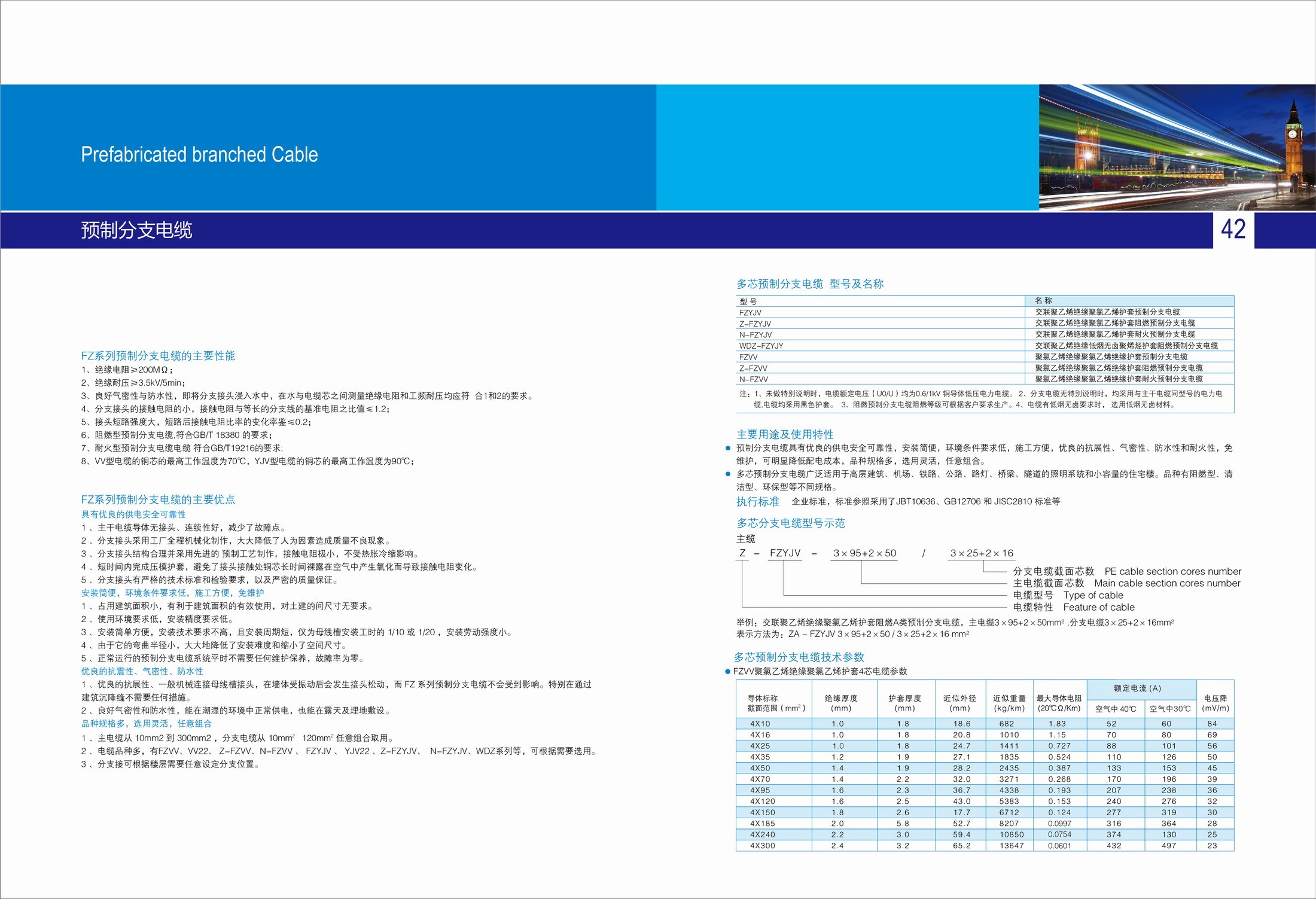 預分（fèn）支電纜(圖3)