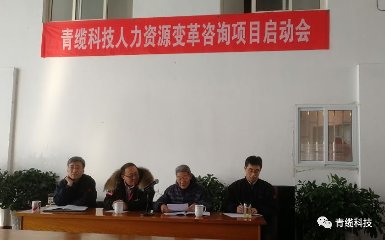 青纜（lǎn）科技人力資源變（biàn）革谘（zī）詢項目正式啟動(圖1)