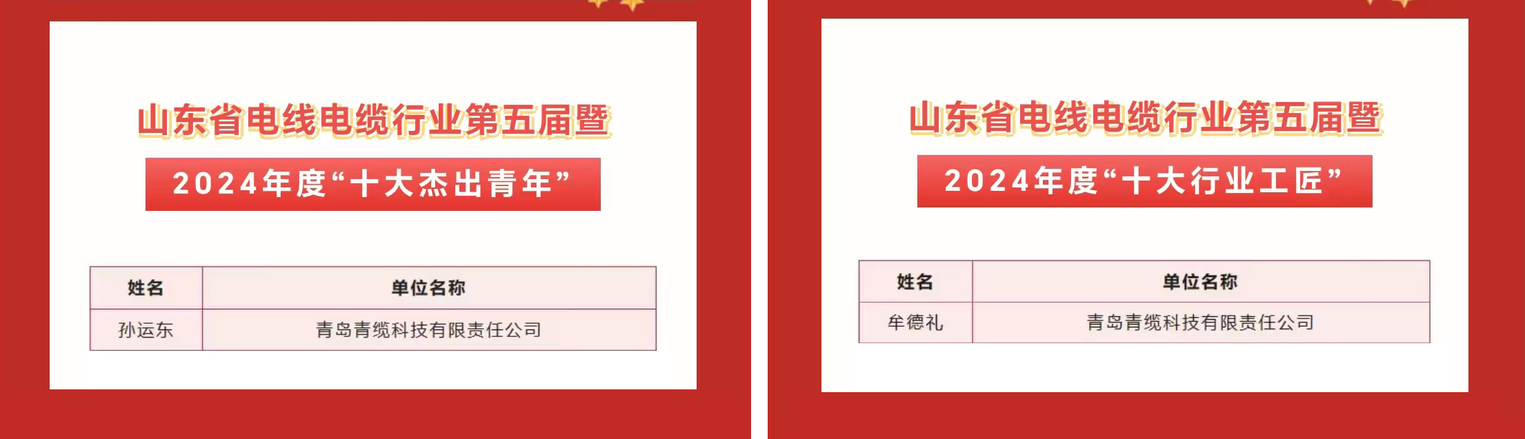 青纜職工獲評2024年度“十大傑出青年”及“十大行業工匠”(圖1)